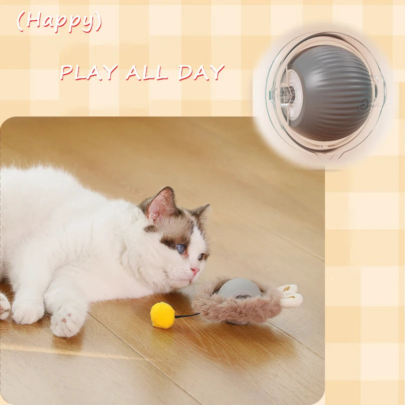 Interactive Motion Cat Toy Ball with Hide and Seek Pouch - lifestyle