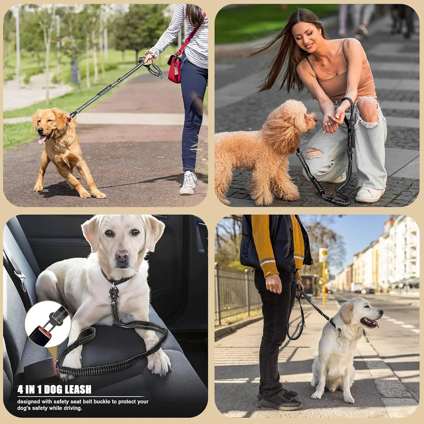 Shock-Absorbing Dog Leash with Car Seatbelt Attachment - lifestyle