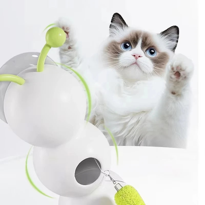 Whack-a-Worm Motion Activated Cat Toy - in use