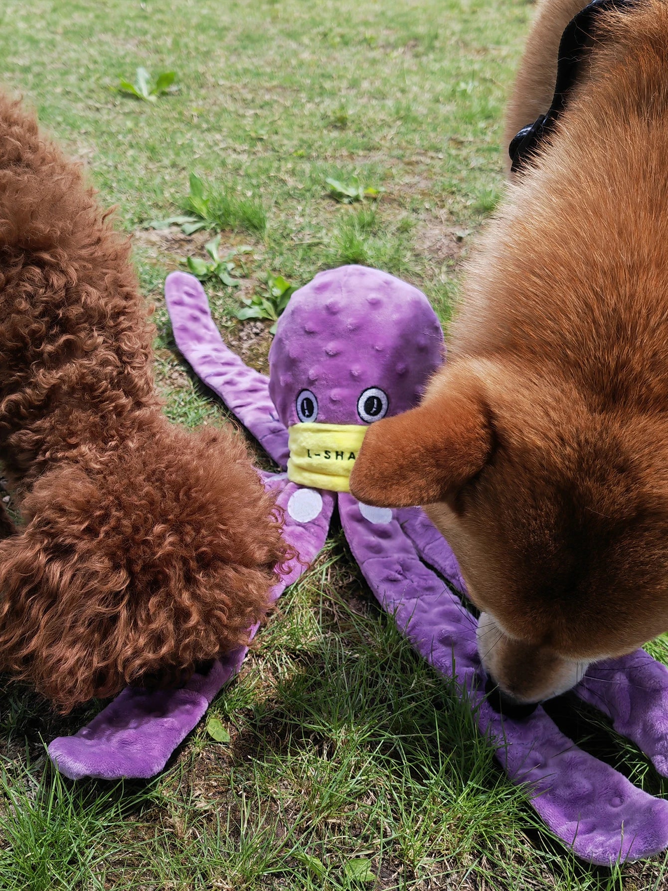 Octopus Snuffle Dog Toy for Slow Eating - view 13