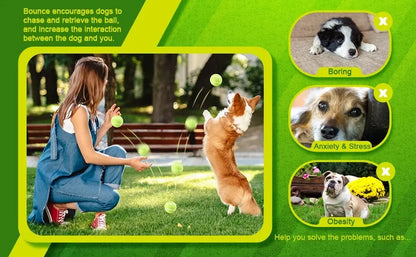 2-Inch Tennis Balls for Dogs (12 Pack, Launcher Compatible) - feature view