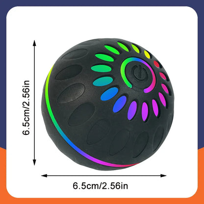 USB Rechargeable Smart Rolling Dog Ball - Black KH