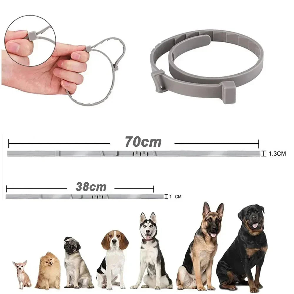 Adjustable Waterproof Plastic Dog Collar - from above