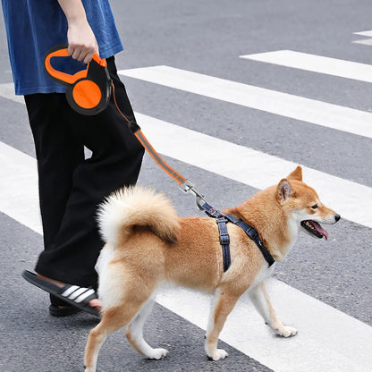 Hands Free Dog Leash with Waist Bag and Reflective Belt - size reference