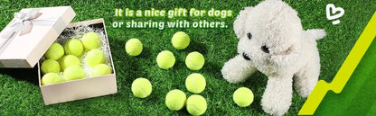 2-Inch Tennis Balls for Dogs (12 Pack, Launcher Compatible) - view 11