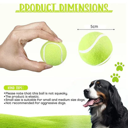 2-Inch Tennis Balls for Dogs (12 Pack, Launcher Compatible) - in use
