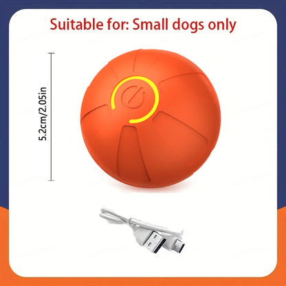 USB Rechargeable Smart Rolling Dog Ball - Orange SP
