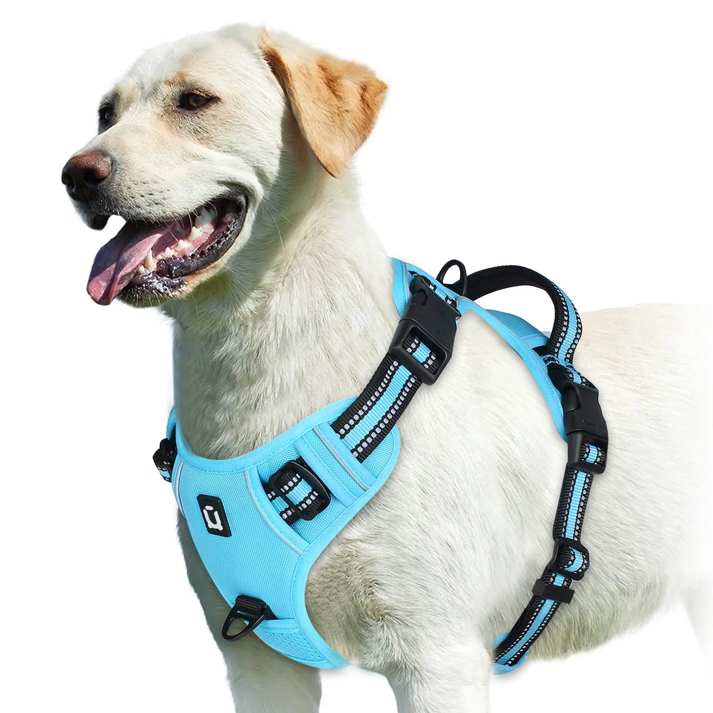 No-Pull Padded Dog Harness with Control Handle - M / SKY BLUE