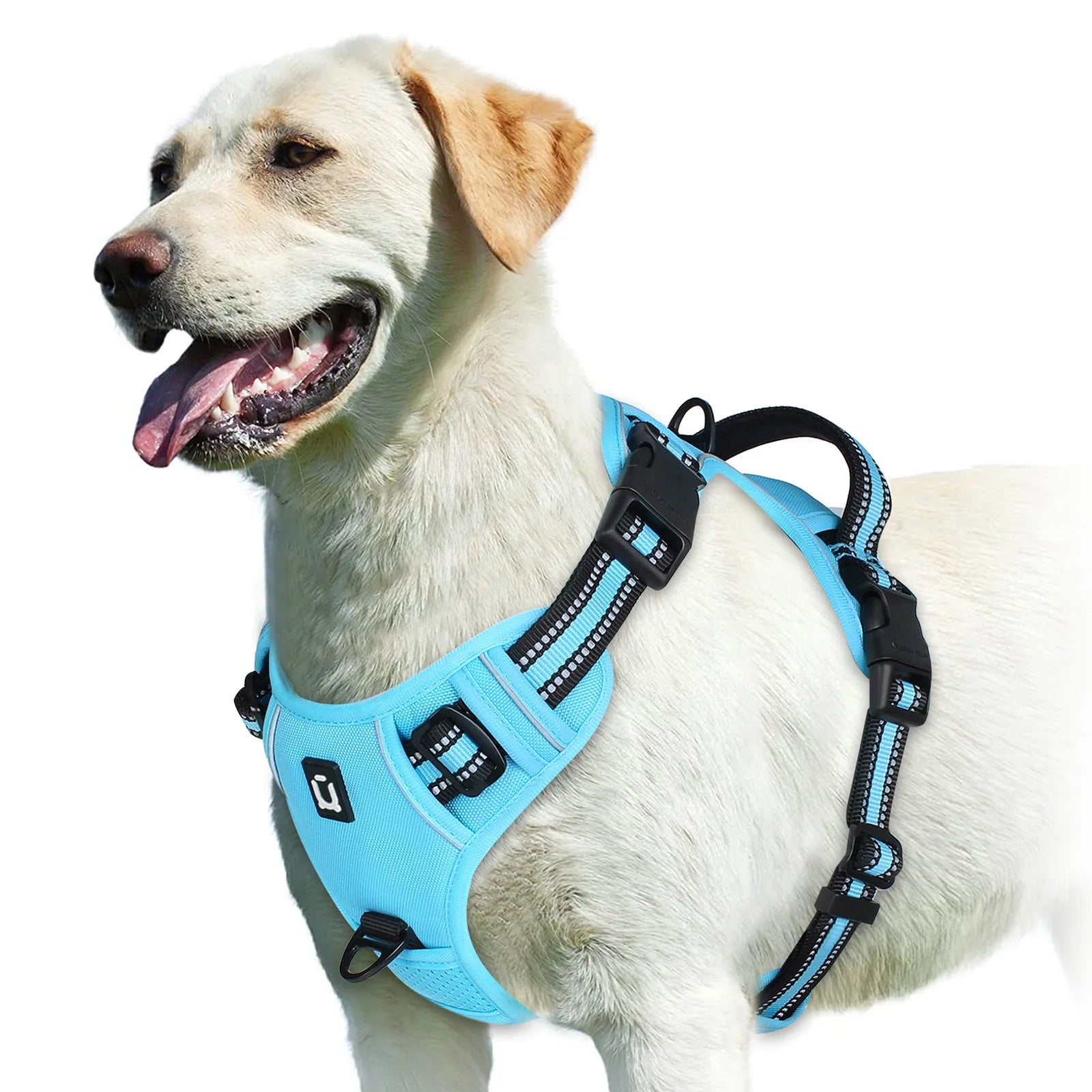 No-Pull Padded Dog Harness with Control Handle - M / SKY BLUE