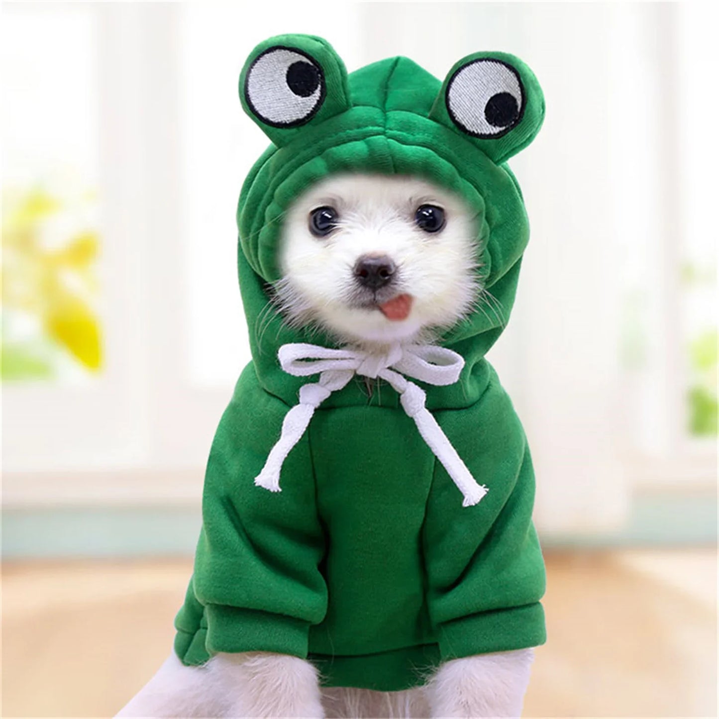 Cute Carrot and Frog Hooded Dog Sweater - green / S
