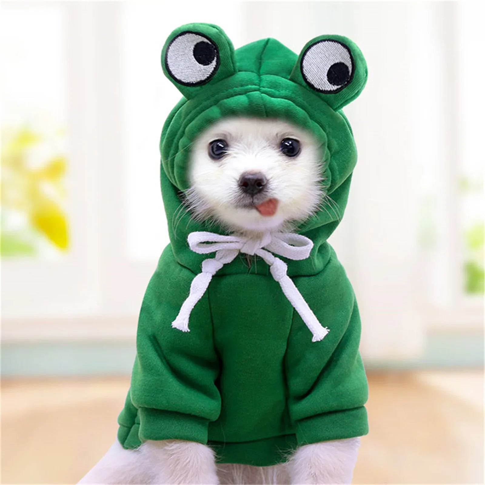 Cute Carrot and Frog Hooded Dog Sweater - green / S
