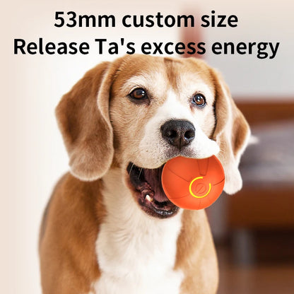 USB Rechargeable Smart Rolling Dog Ball - detail