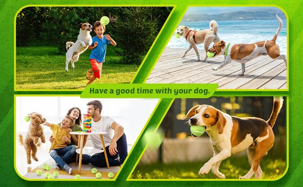 2-Inch Tennis Balls for Dogs (12 Pack, Launcher Compatible) - size reference