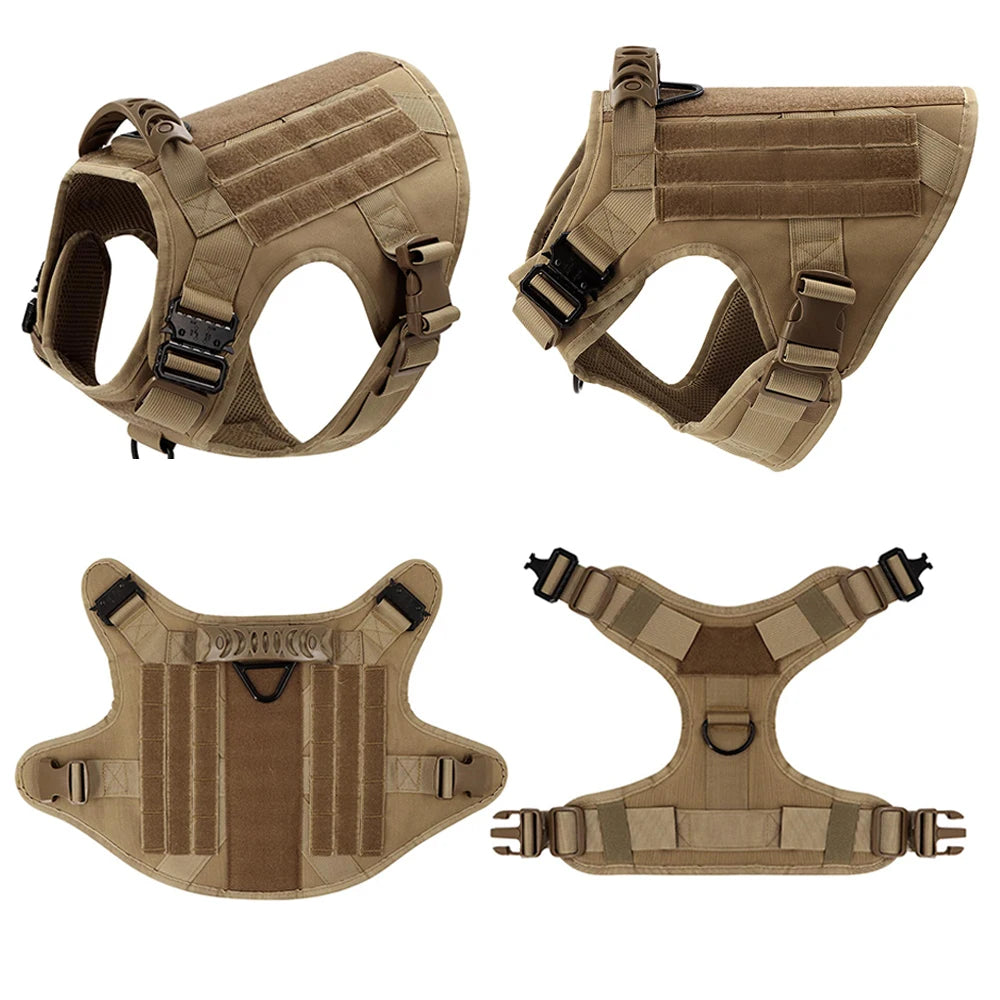 Large Dog Harness and Leash Set with Collar - close-up