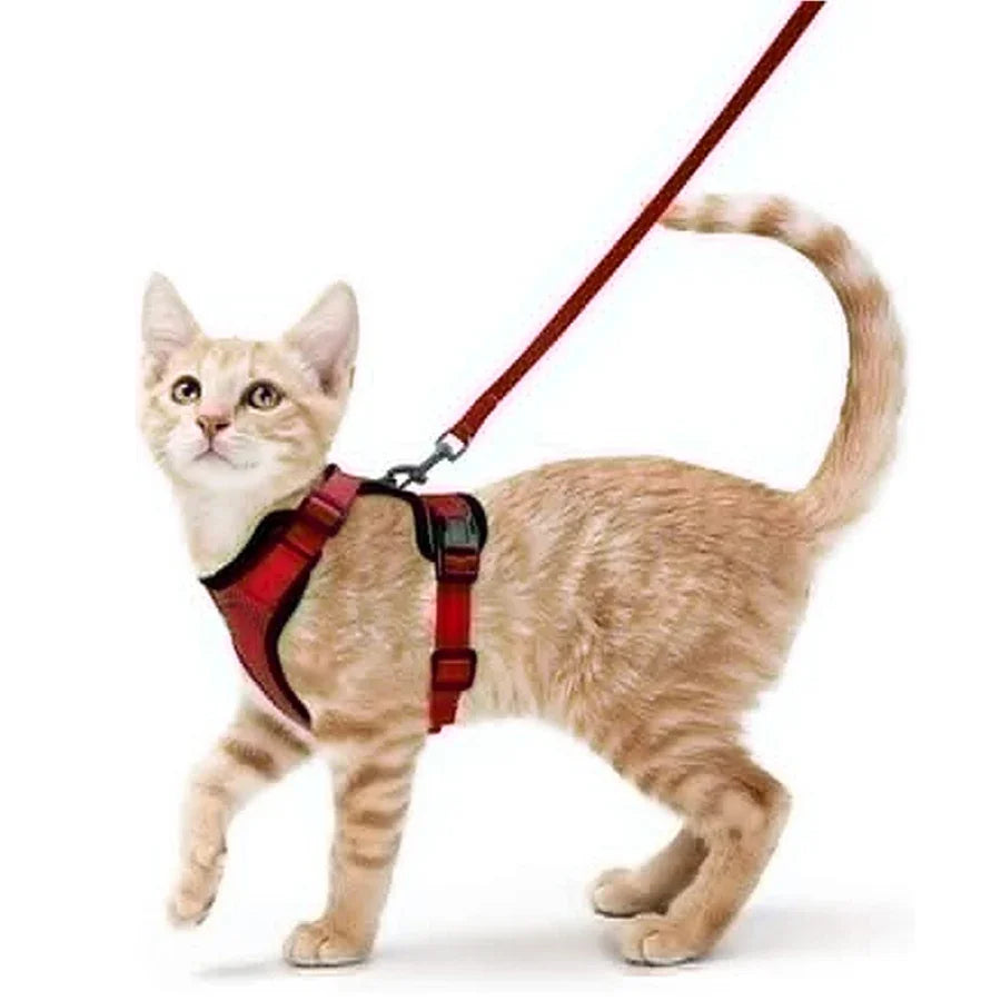 Escape Proof Cat Harness and Leash Set - Red / XS