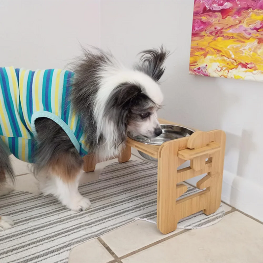 Adjustable Wooden Raised Pet Bowl Stand with Steel Bowls