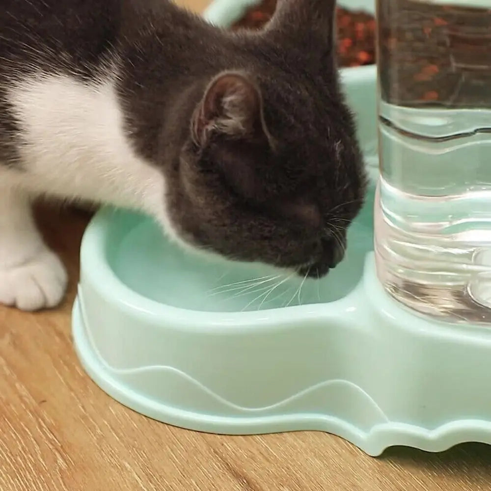 3.8L Automatic Pet Feeder and Water Fountain - view 15