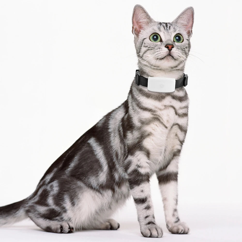 Mini Waterproof GPS Tracker for Dogs and Cats (Free App) - feature view