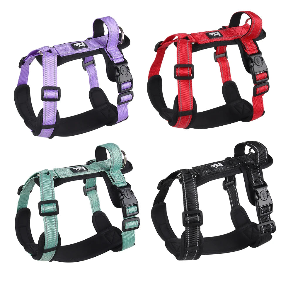 Escape-Proof Dog Harness with Control Handle - lifestyle