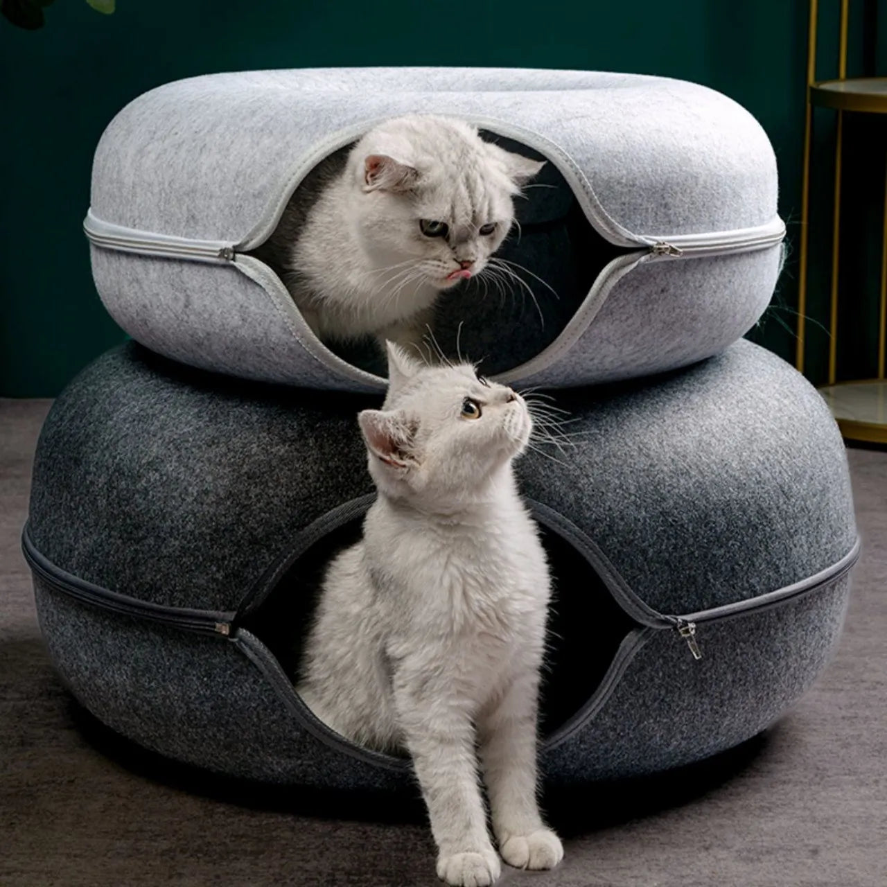 Donut Cat Bed with Built-in Felt Tunnel for Indoor Play