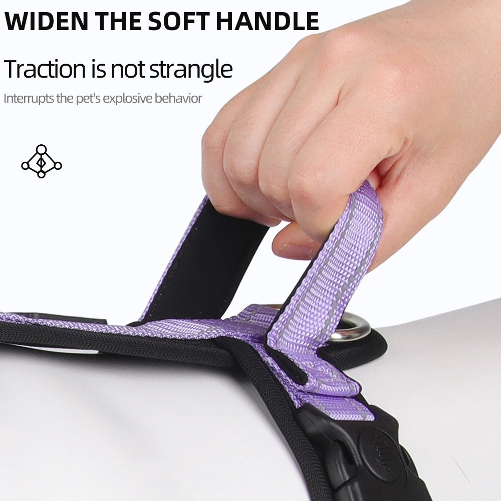 Escape-Proof Dog Harness with Control Handle - in use