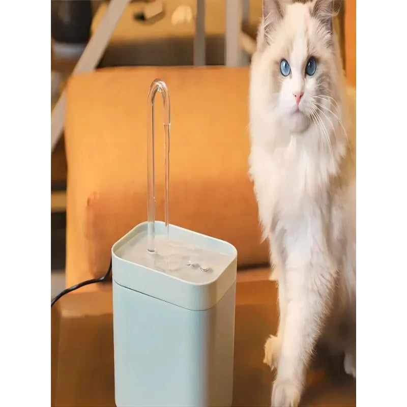 Auto Filter Pet Water Fountain (1.5L) - feature view