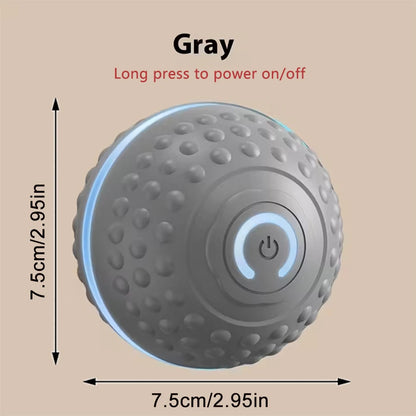 USB Rechargeable Smart Rolling Dog Ball - Gray YD