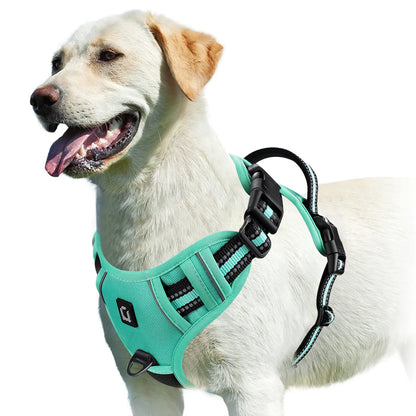 No-Pull Padded Dog Harness with Control Handle - L / green
