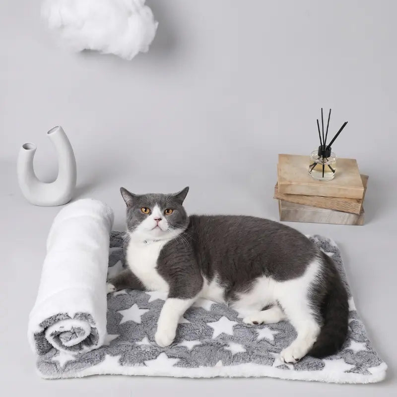 Flannel Pet Sleeping Mat and Sofa Cushion for Dogs and Cats